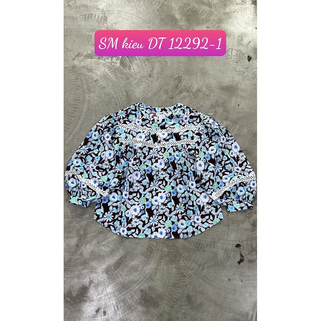 SM kieu DT 1229201