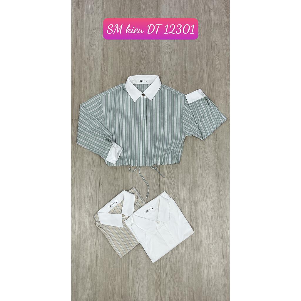 SM kieu DT 1230101