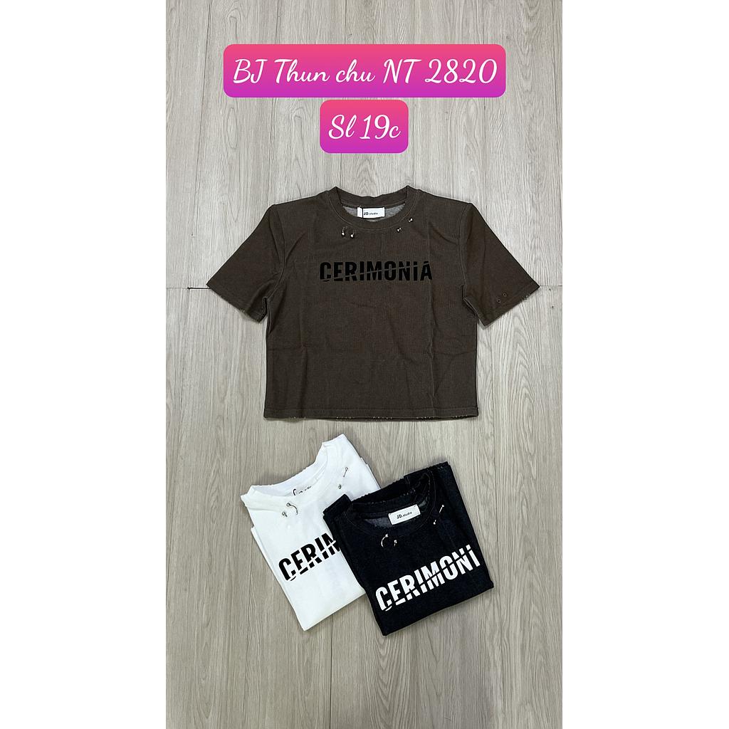 Thun chu NT 282005