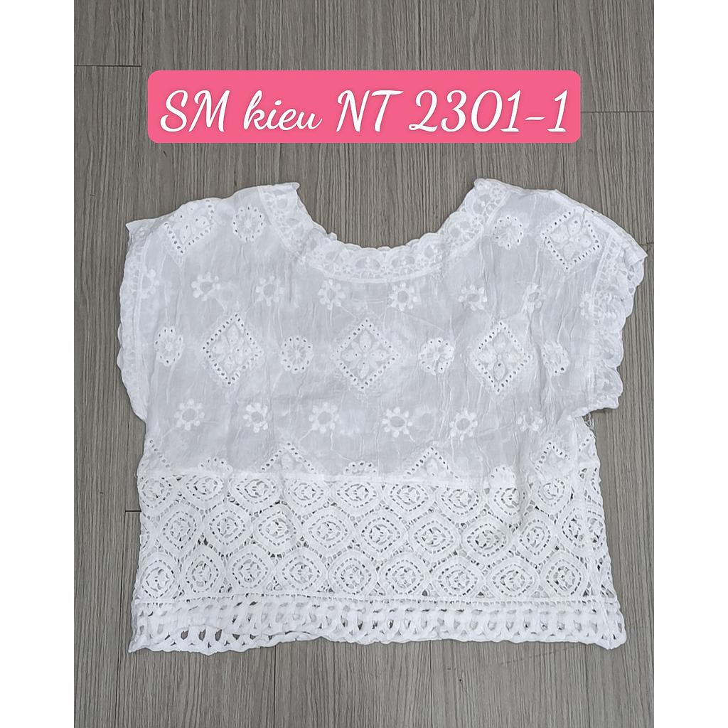 Len kieu NT 231002